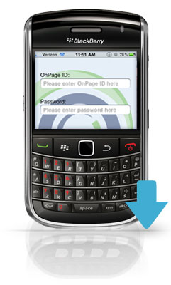 http://www.blackberrygratuito.com/images/02/onpage%20blackberry_large.jpg