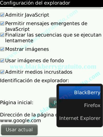 http://www.blackberrygratuito.com/images/configuracion%20explorador%20blackberry%20(2).jpg