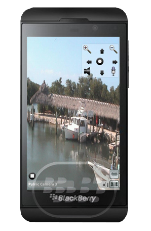 monitor_bee_z10